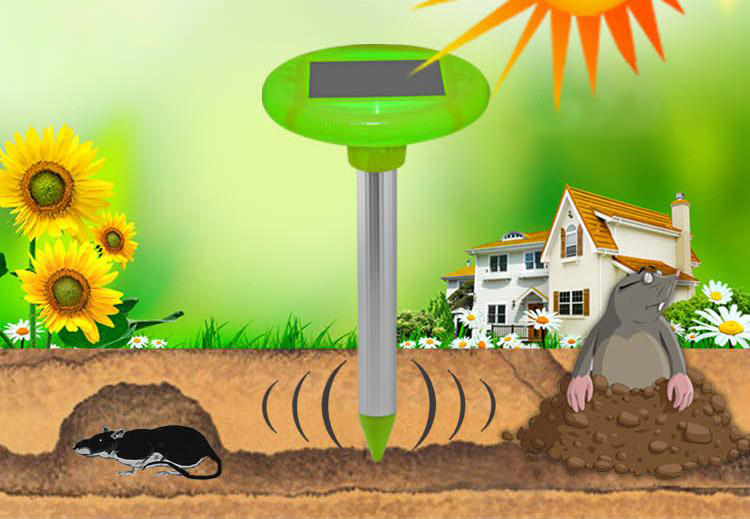 солнечный детектор родинок и грызунов