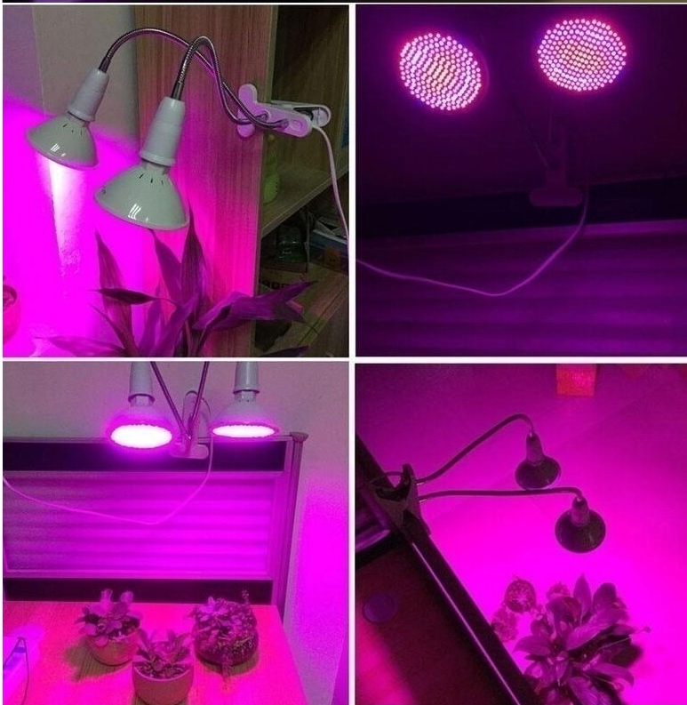 искусственный свет для растений