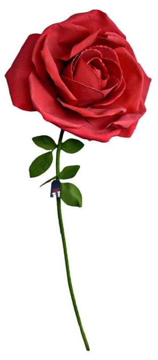 Огромная роза XXL - Розы в подарок женщине