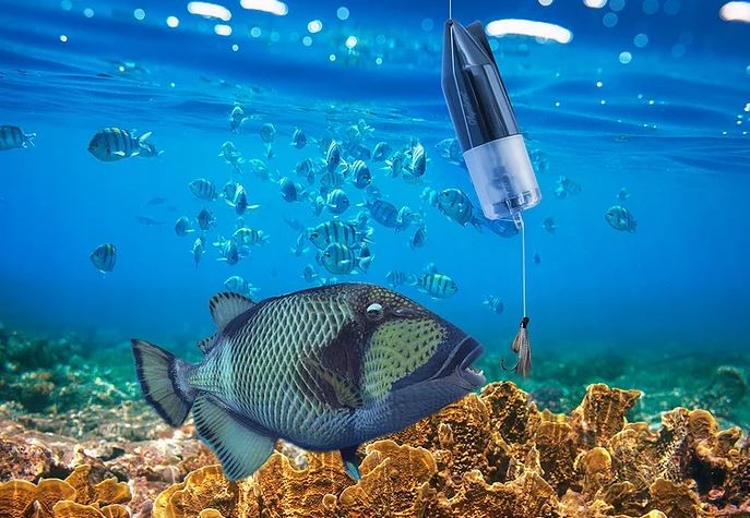подводная рыба камера
